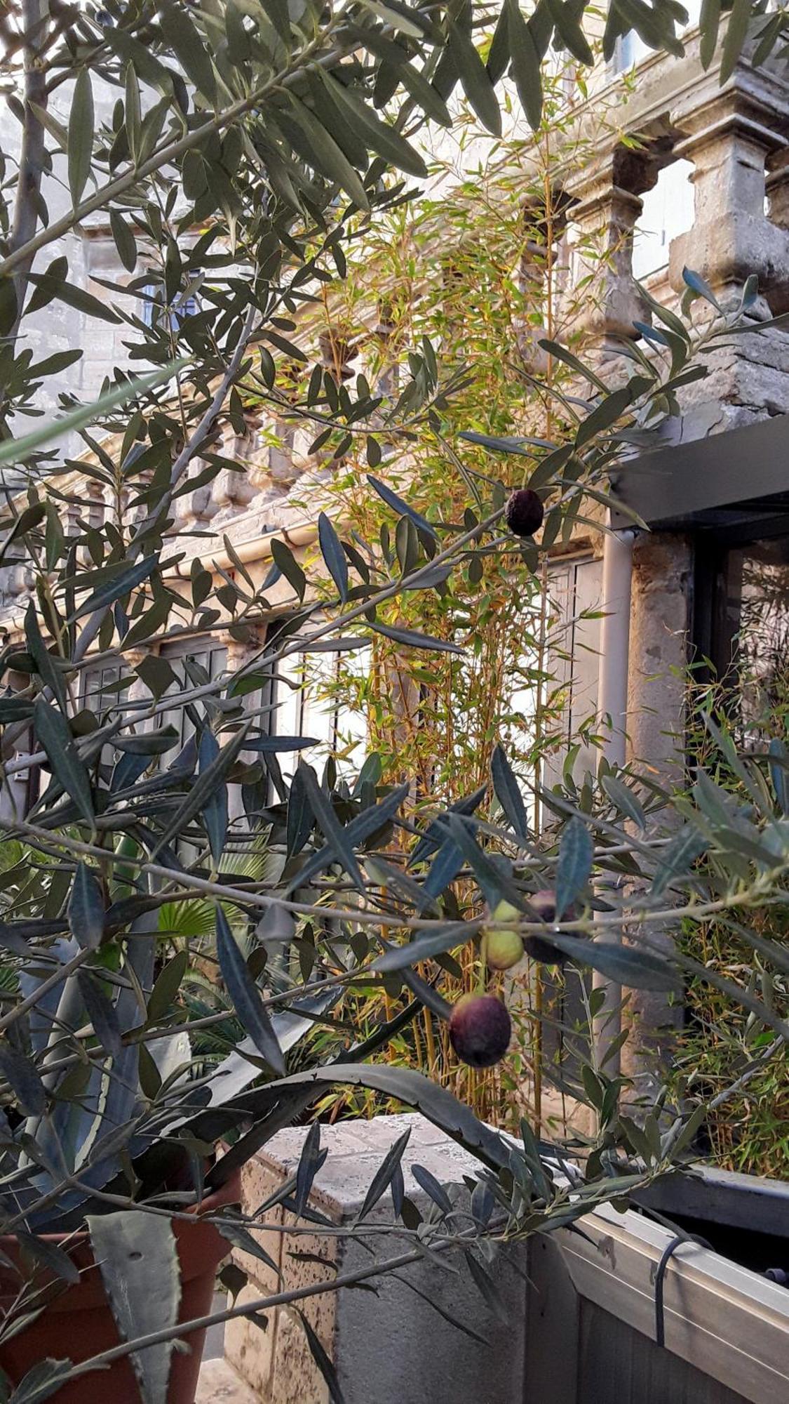 Le Clos Du Rouet Tarascon Exterior foto