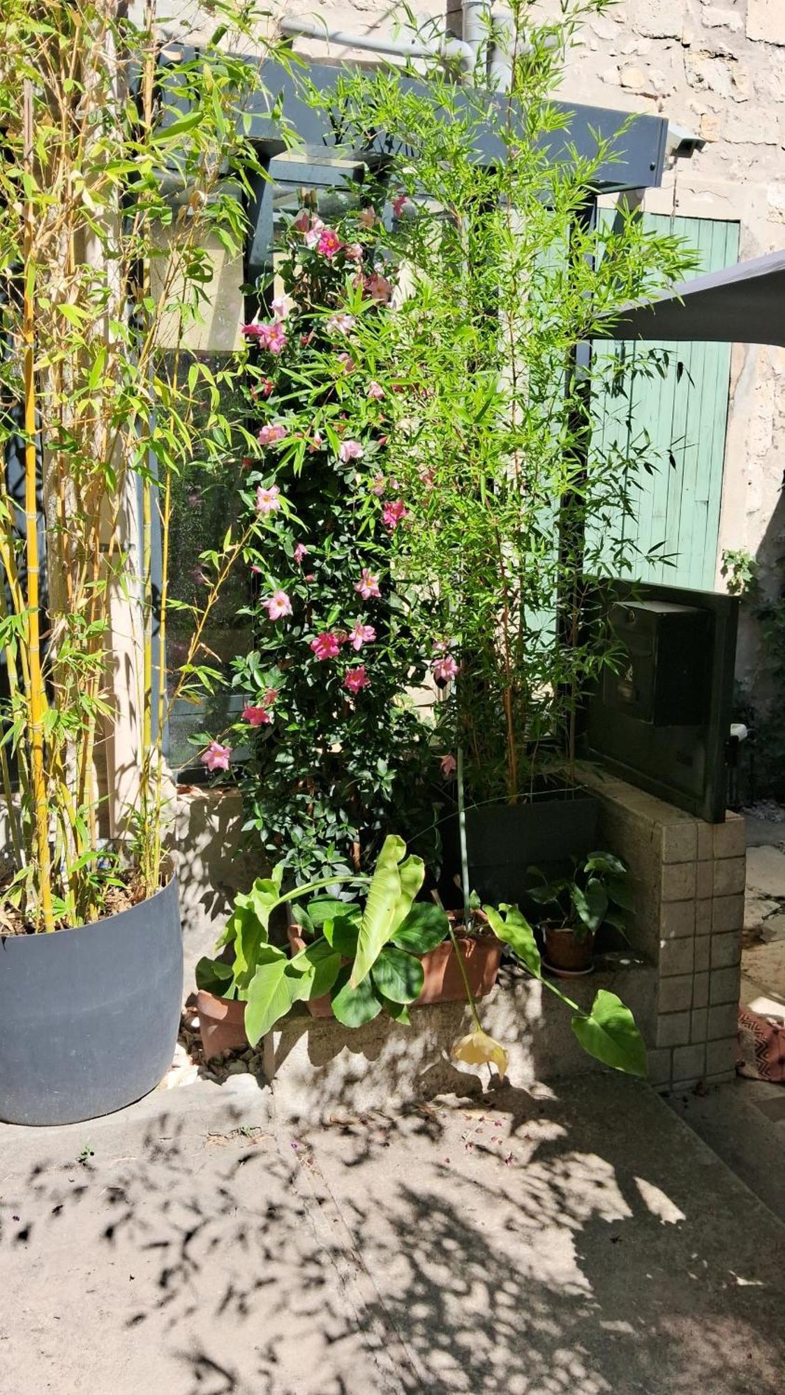 Le Clos Du Rouet Tarascon Exterior foto